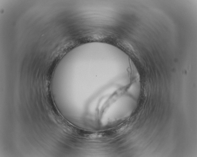 X0000090600366200707171114