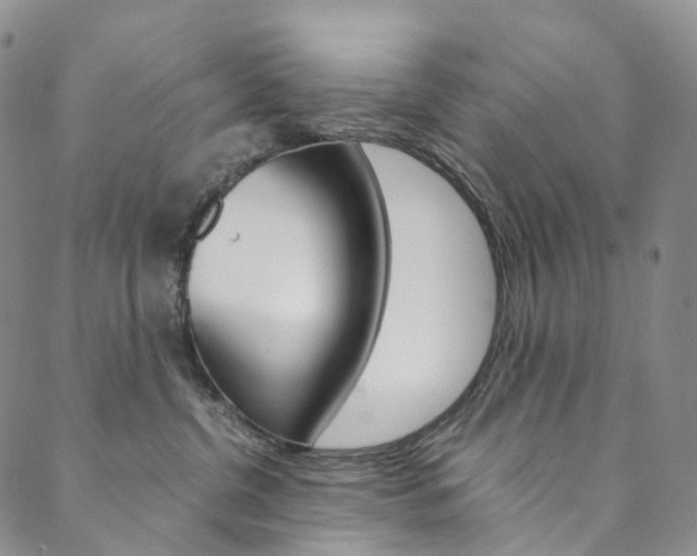 X0000090600380200707171114