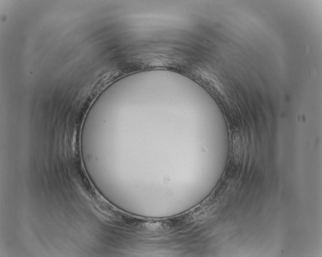 X0000090600406200707171113