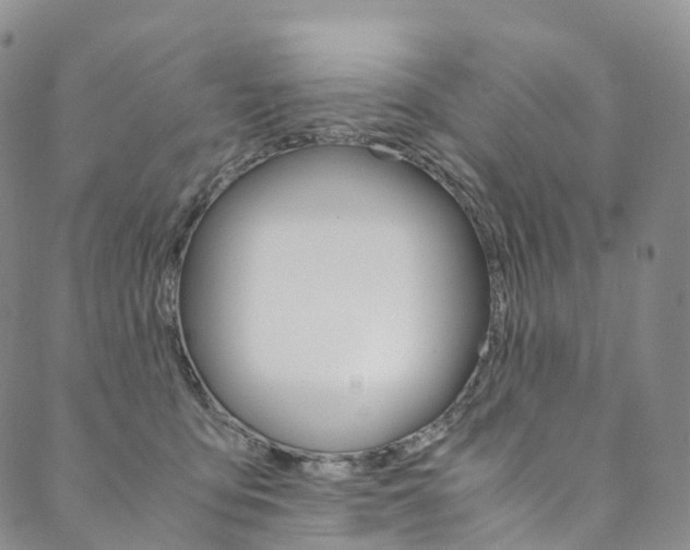 X0000090600419200707171113