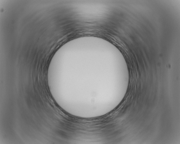 X0000090600425200707171113