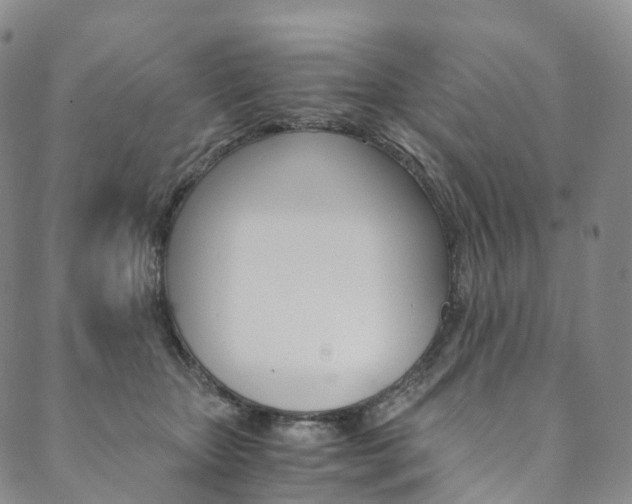 X0000090600467200707171113