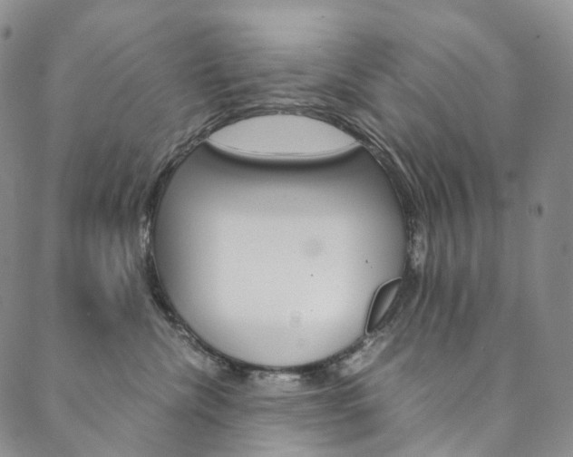 X0000090600476200707171113
