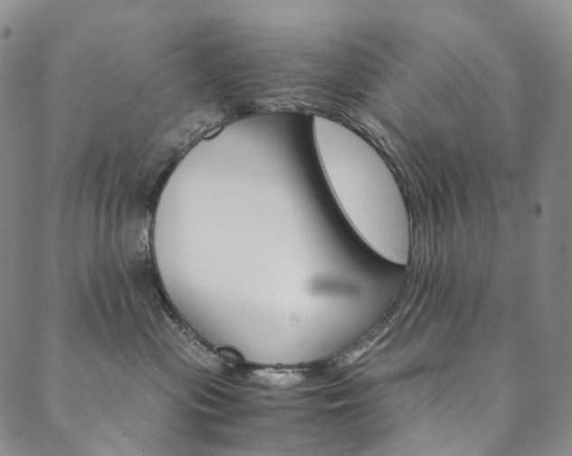 X0000090600477200707171113