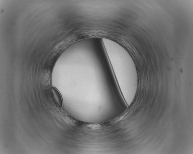 X0000090600478200707171113