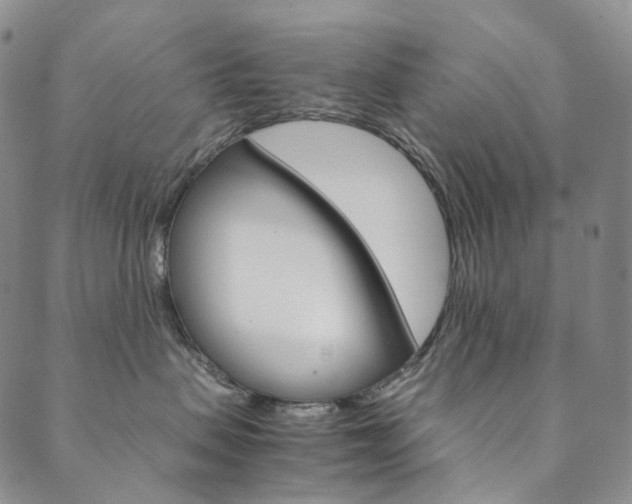 X0000090600479200707171113