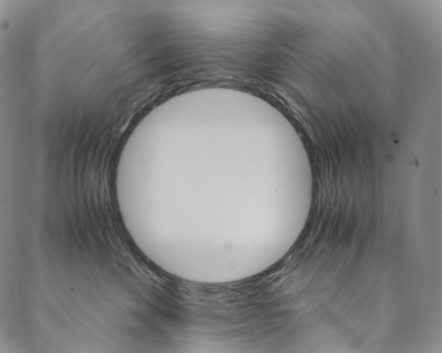 X0000090600524200707171111