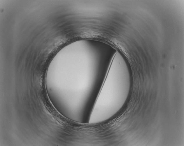 X0000090600539200707171111