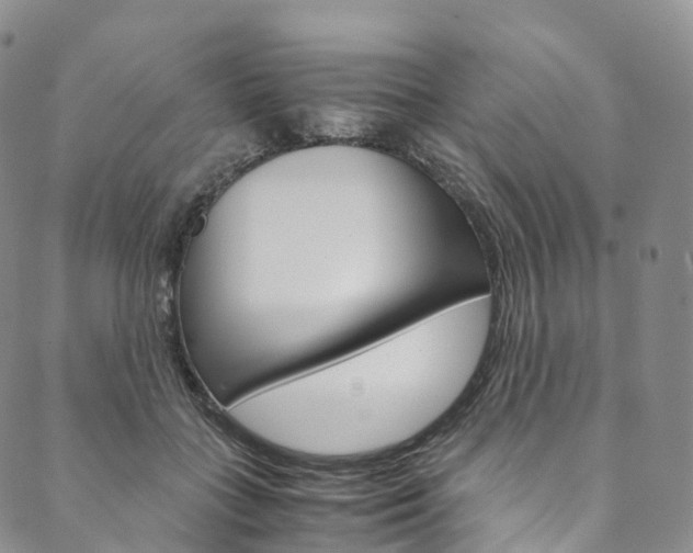 X0000090600555200707171111