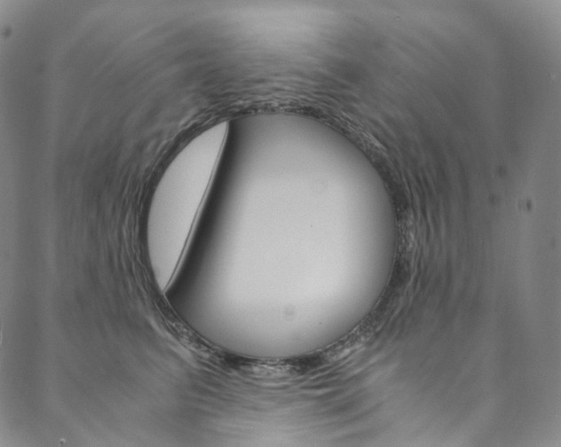 X0000090600615200707171110