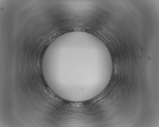 X0000090600618200707171110