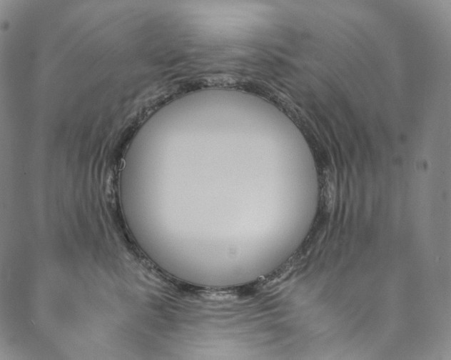 X0000090600619200707171110