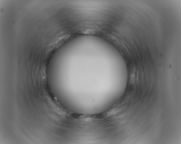 X0000090600620200707171110