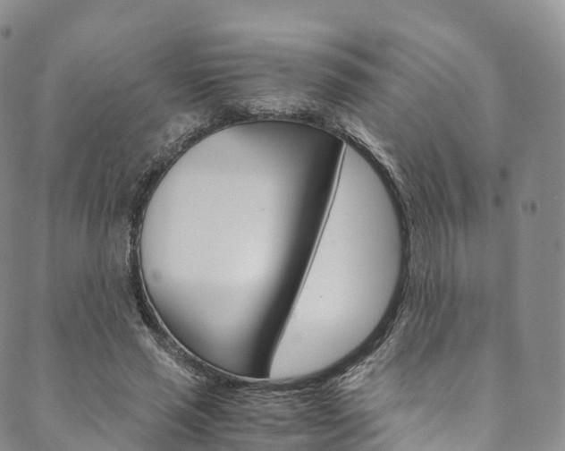 X0000090600637200707171109