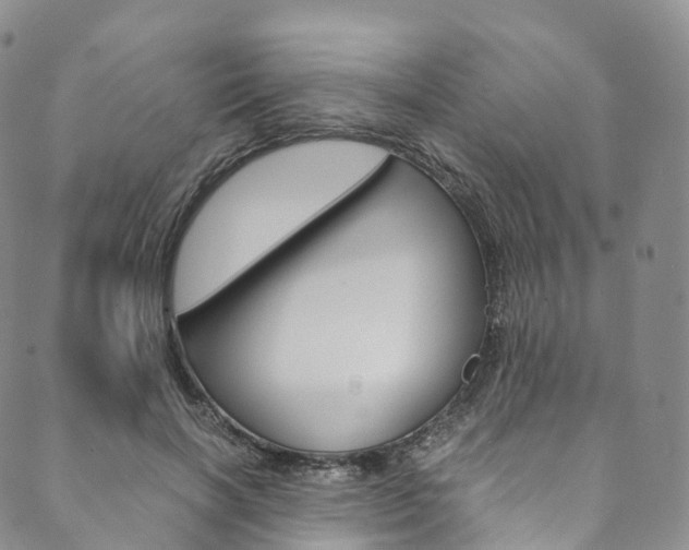 X0000090600646200707171109