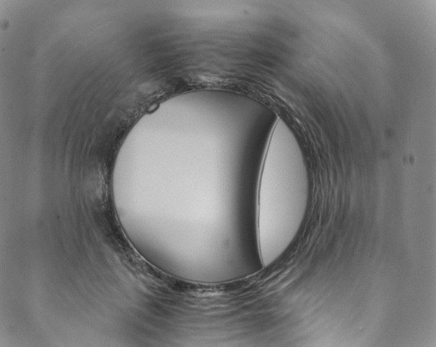 X0000090600651200707171109