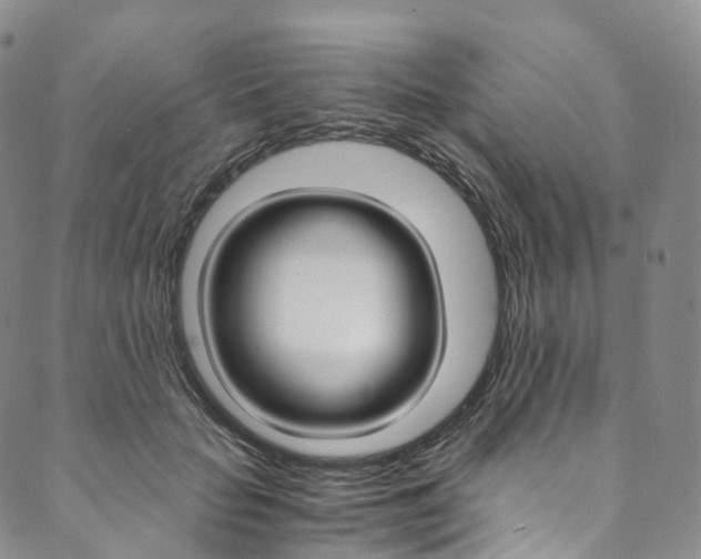 X0000090600653200707171110