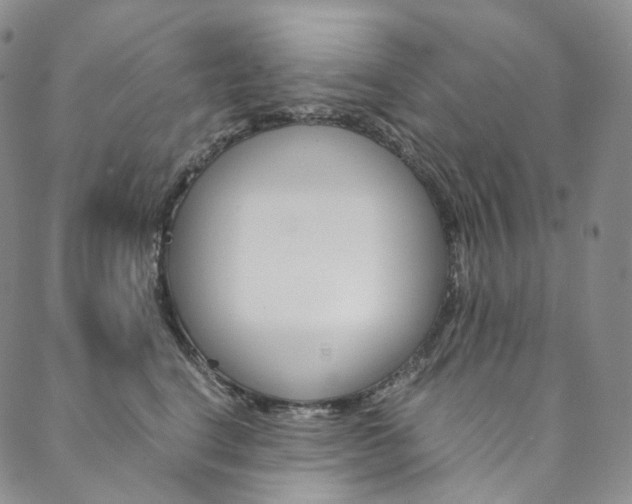 X0000090600664200707171110