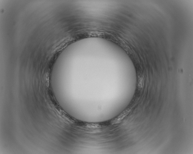 X0000090600666200707171110