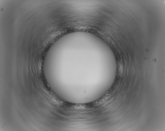 X0000090600668200707171110