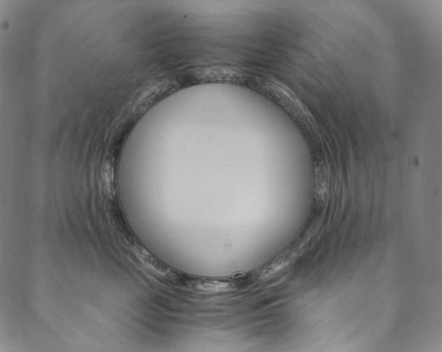 X0000090600669200707171110