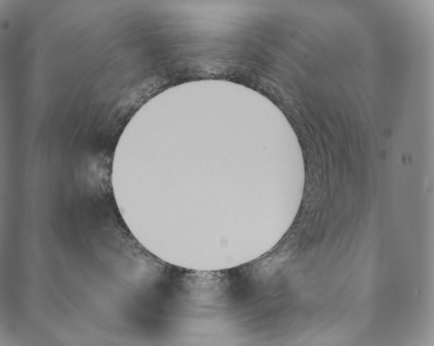 X0000090600672200707171110