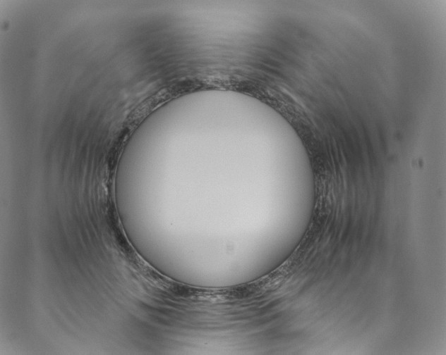 X0000090600702200707171109
