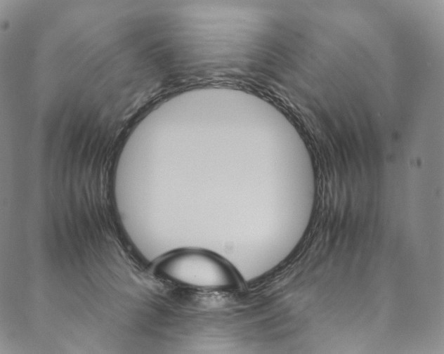 X0000090600704200707171109