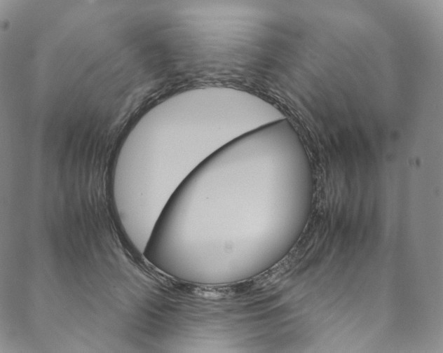 X0000090600706200707171109