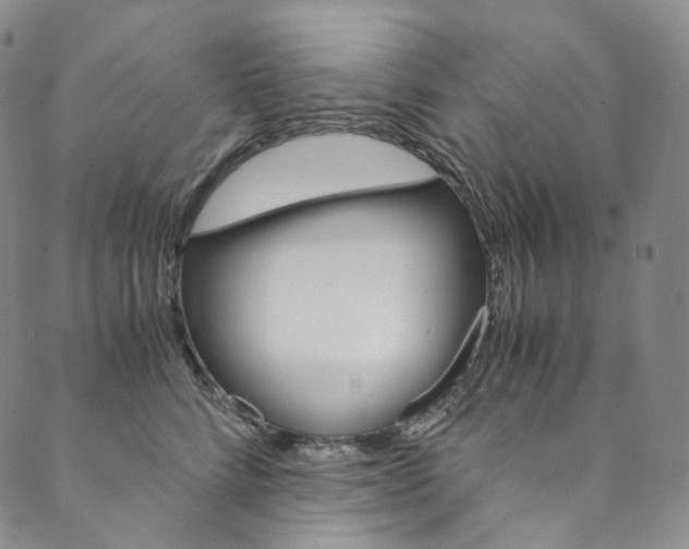 X0000090600712200707171108