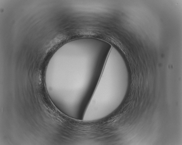 X0000090600731200707171108