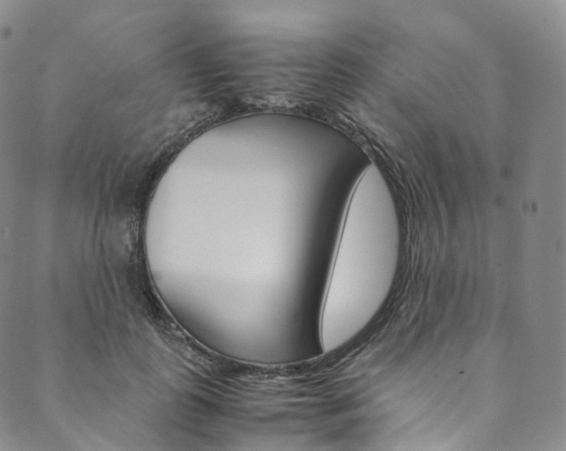 X0000090600747200707171108