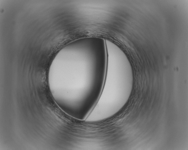 X0000090600748200707171108