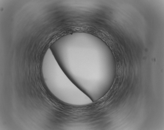 X0000090600749200707171108