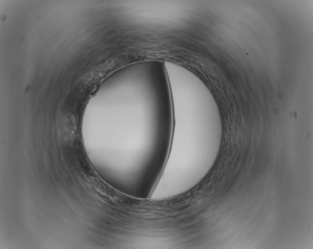 X0000090600752200707171108