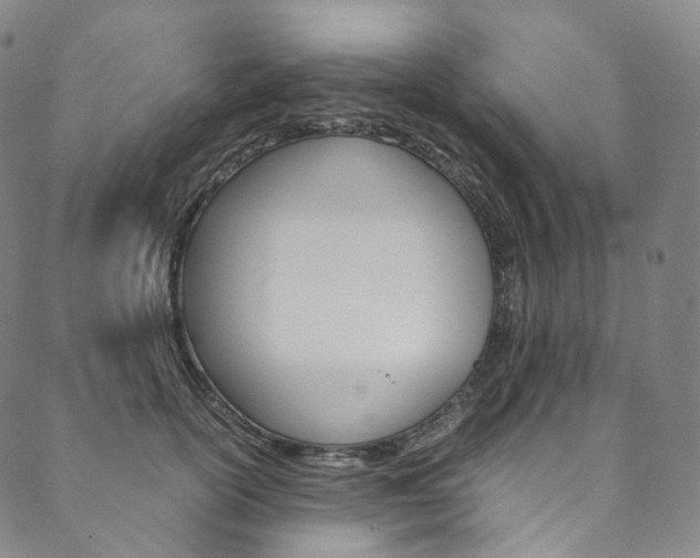 X0000090600754200707171108
