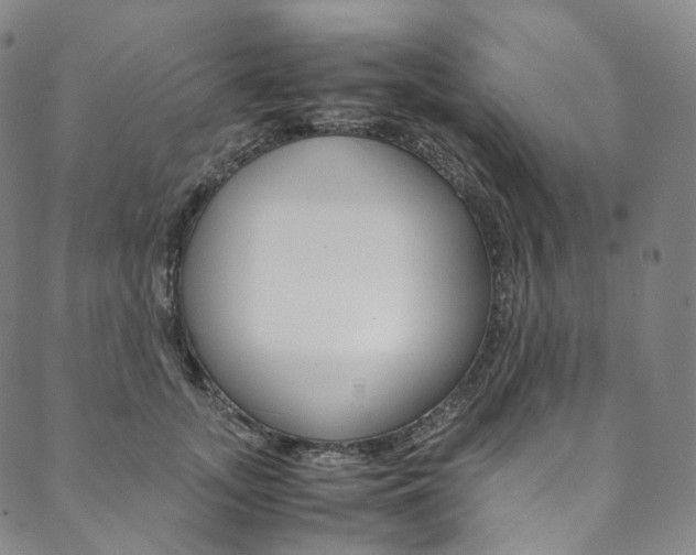 X0000090600755200707171108