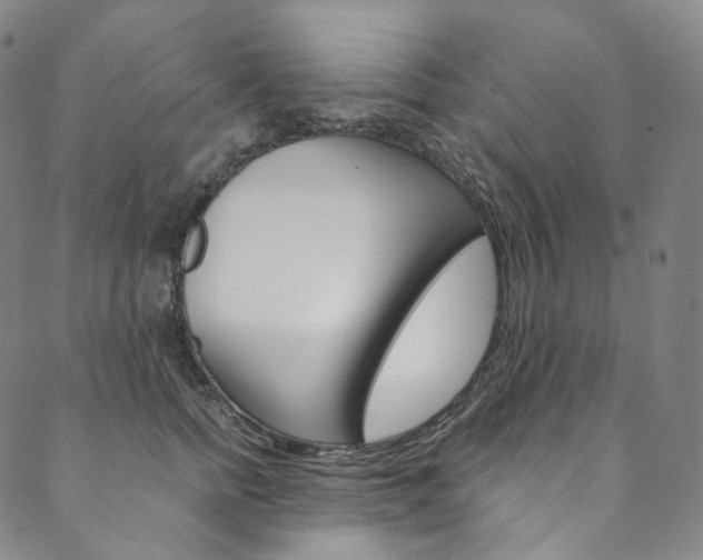 X0000090600758200707171108