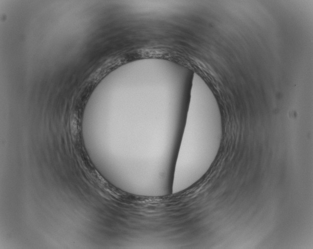 X0000090600761200707171108