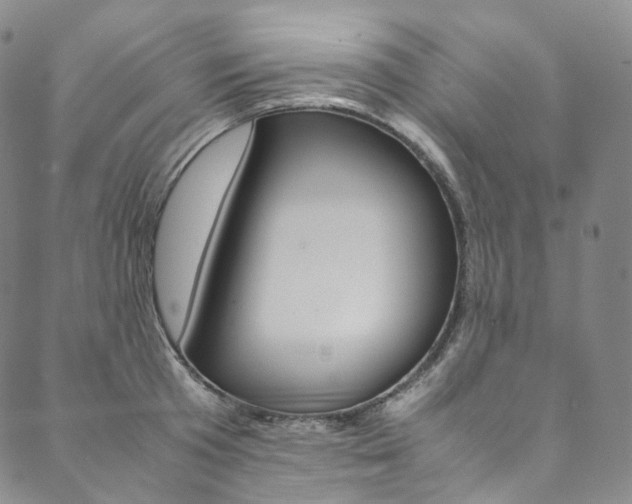 X0000090600801200707171107