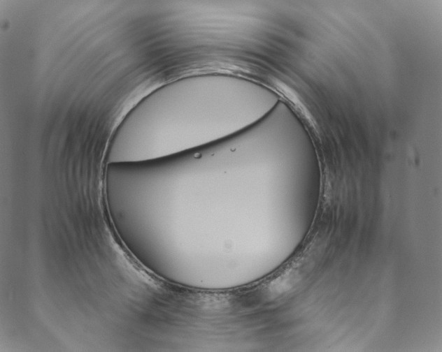 X0000090600802200707171107