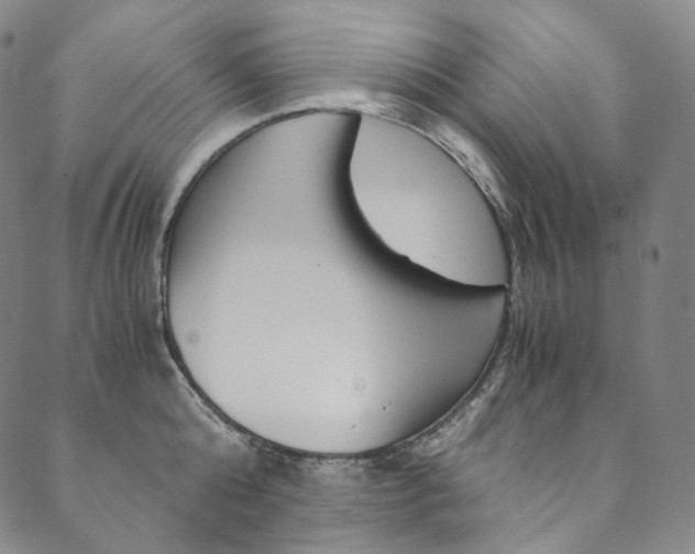X0000090600808200707171107