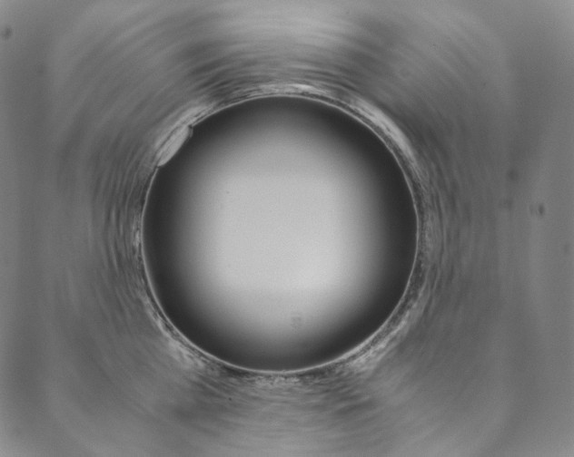 X0000090600809200707171107