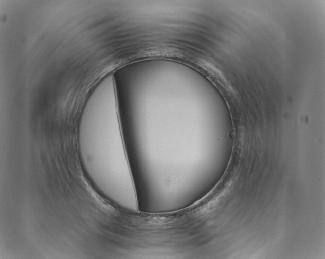 X0000090600841200707171106