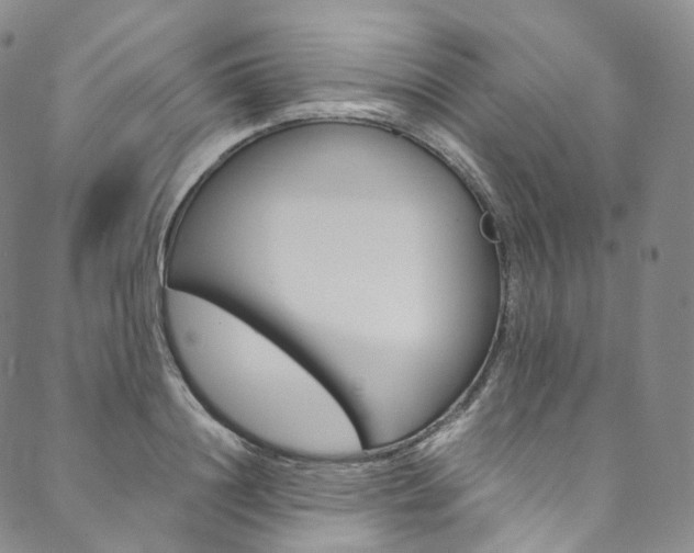 X0000090600844200707171106