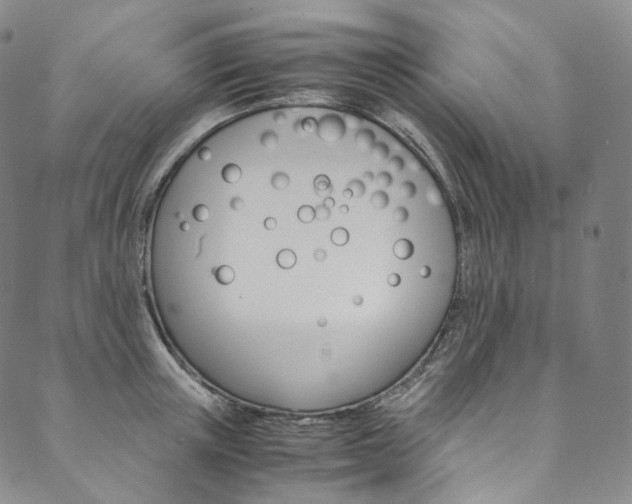 X0000090600851200707171107