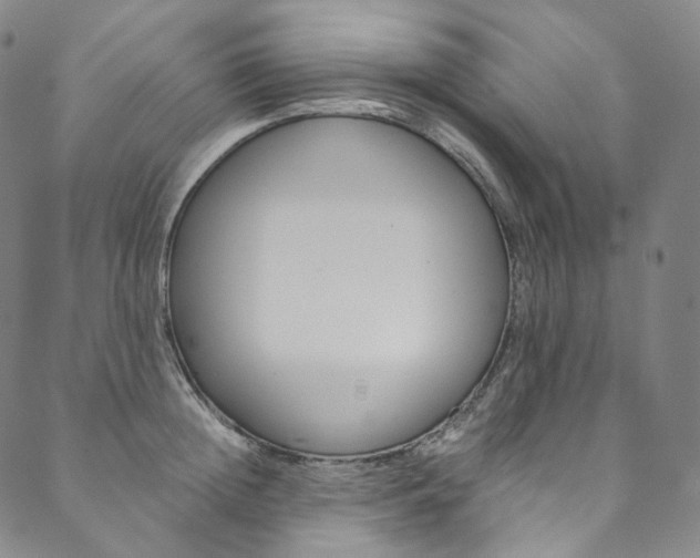 X0000090600852200707171107
