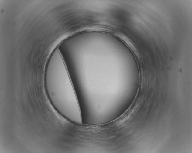 X0000090600853200707171107