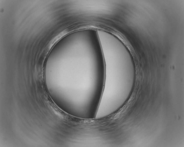 X0000090600858200707171107