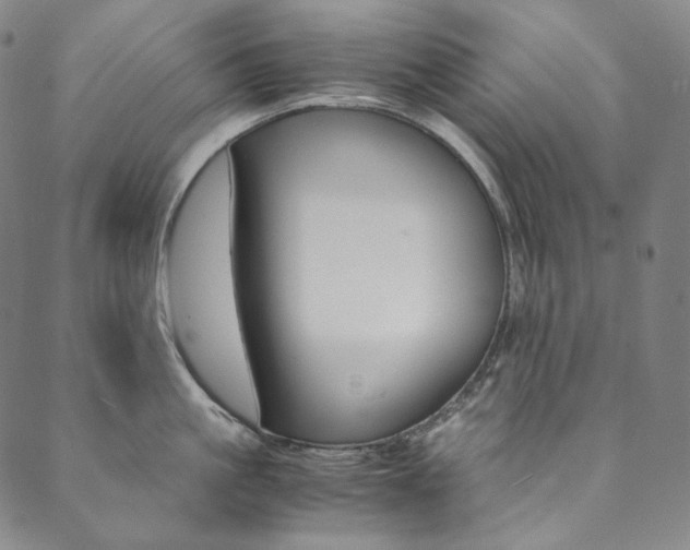 X0000090600861200707171107